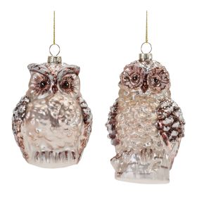 Owl Ornament (Set of 12) 4.75"H, 5.5"H Glass