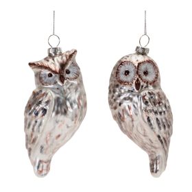 Owl Ornament (Set of 12) 5.5"H Glass