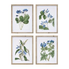 Framed Floral Print (Set of 4) 13.75"L x 17.5"H Wood/MDF/Glass