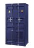 Cargo Wardrobe (Double Door); Blue